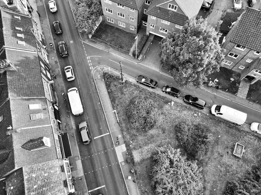 A street scene in Catford showing parked cars along the roadside with a mix of small to medium-sized vans and passenger vehicles, positioned in front of a historic building featuring a prominent clock tower with a domed roof and decorative architectural details. The street is flanked by mature trees with green foliage, casting some shade over the pavement and parked vehicles. An oversize moving van from Removal Van Catford is partially visible on the right side, parked close to the curb, ready for a home relocation. The scene is illuminated by natural daylight with a clear sky, and nearby residential or commercial buildings are also visible behind the trees. This setting reflects the logistics involved in furniture transport and packing during a small move, showcasing the typical environment for household removals in the area.